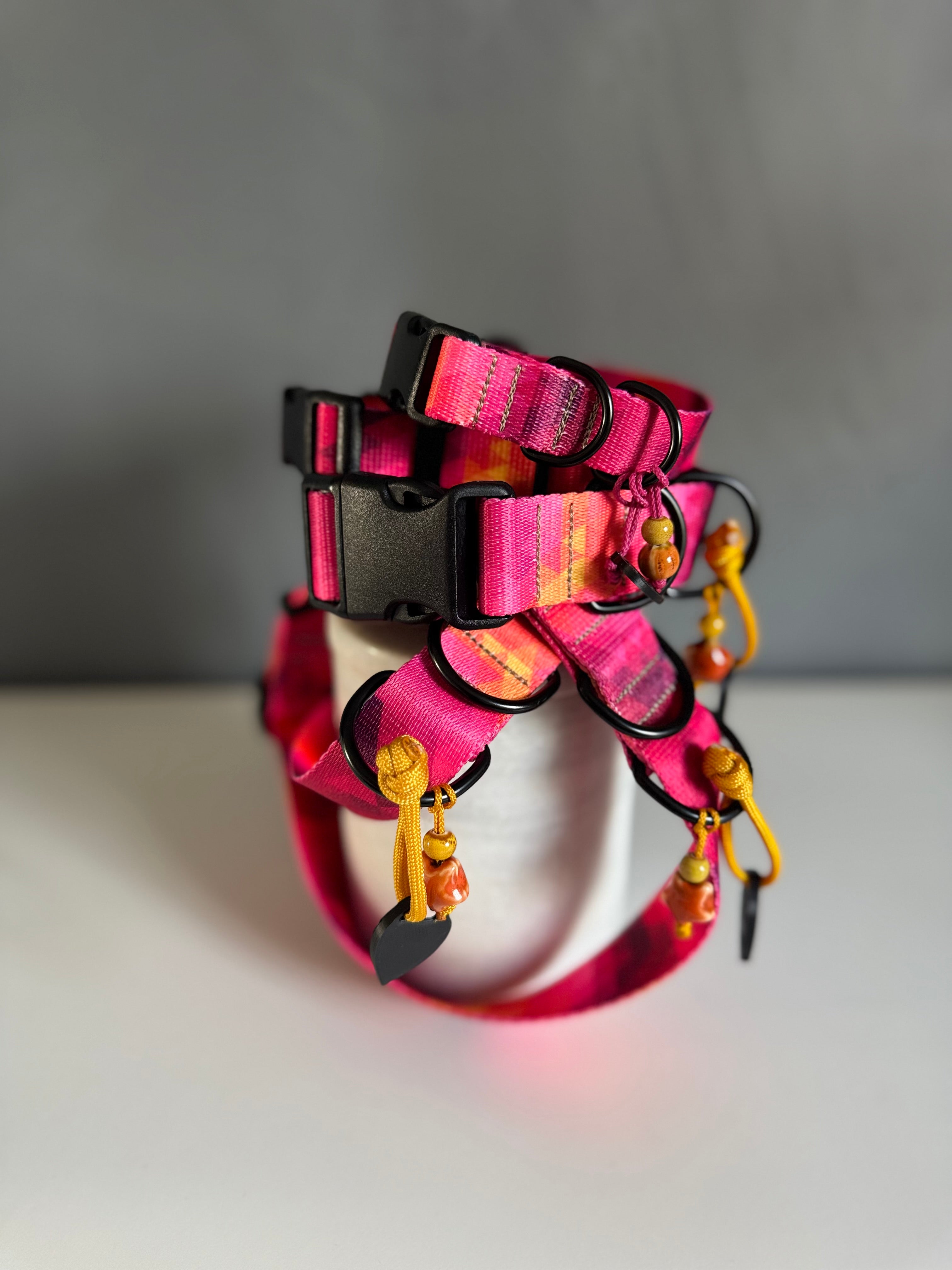 Buckle Collars