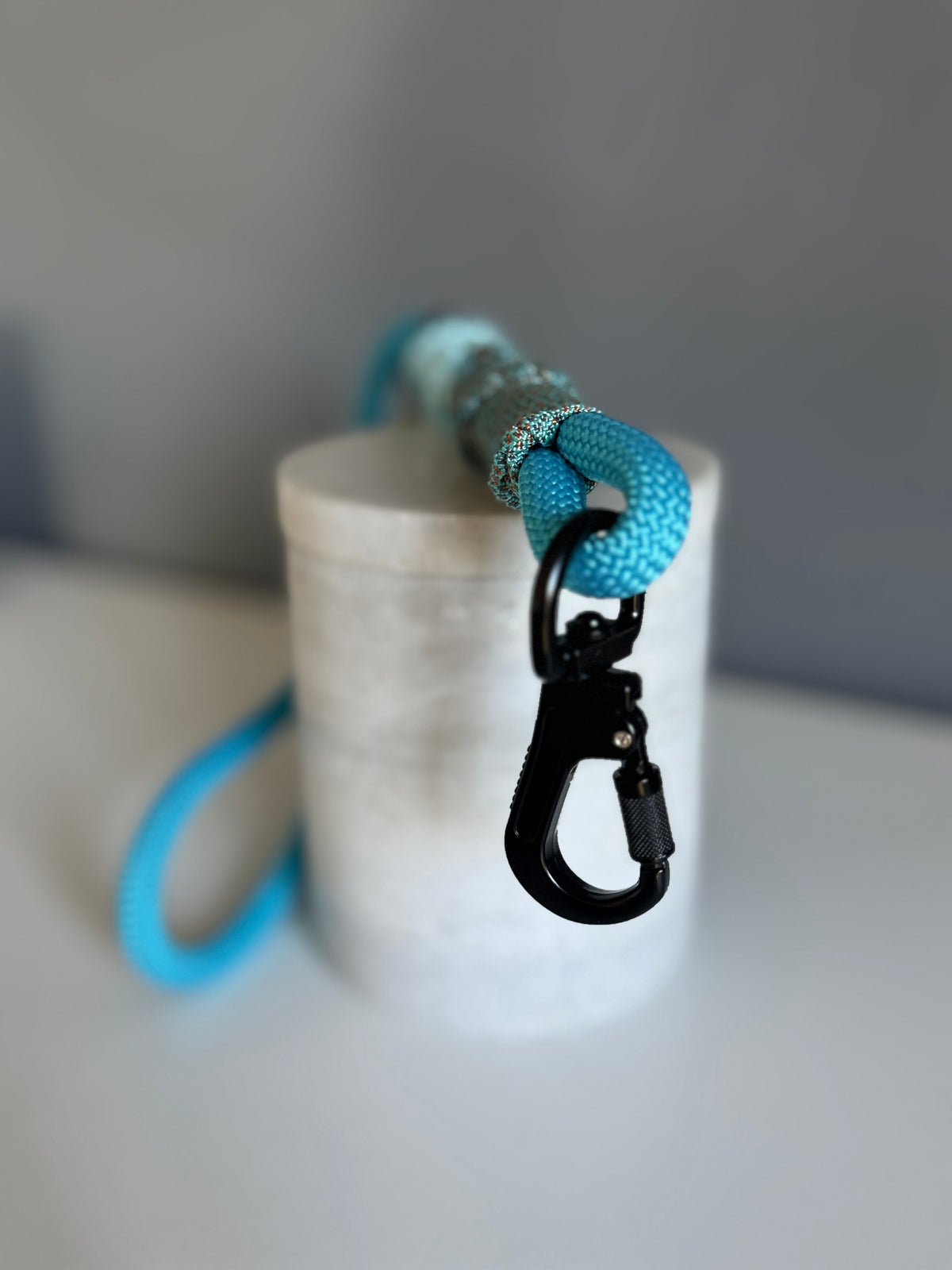ReadyForShort | Leash | Little Fox