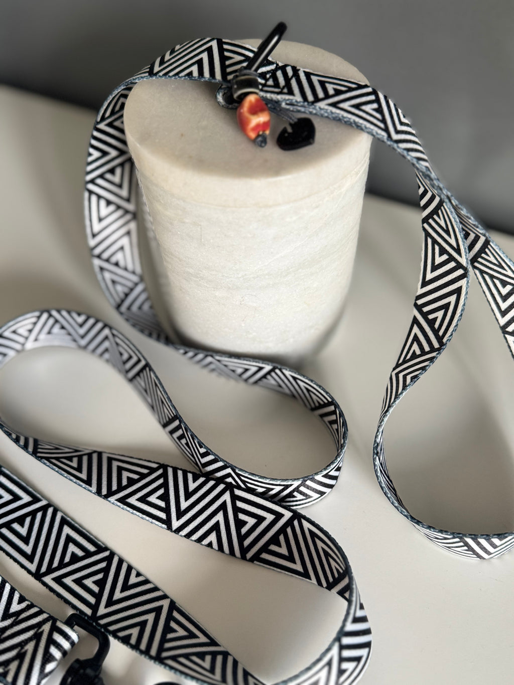 ReadyForWalk | Traditional Leash | Black&White