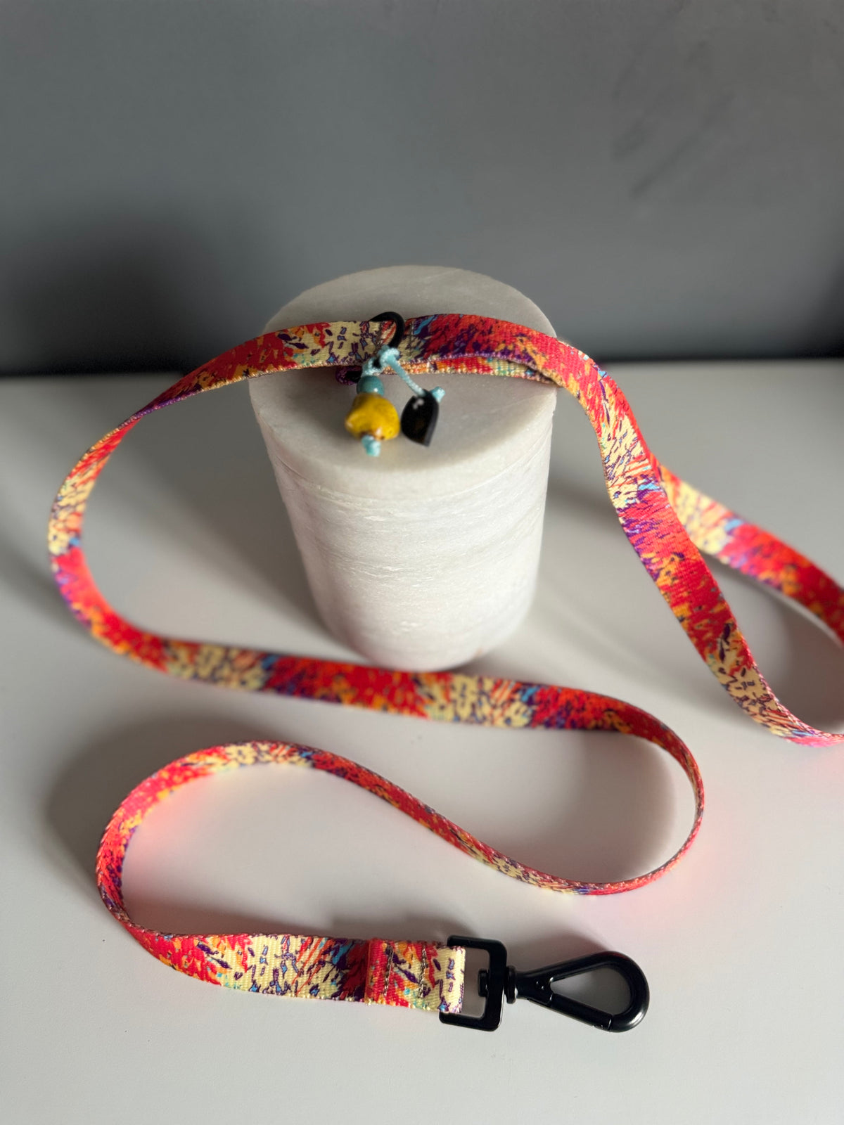 ReadyForWalk | Traditional leash | Confetti