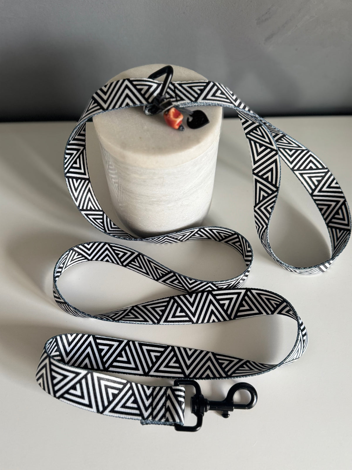 ReadyForWalk | Traditional Leash | Black&White