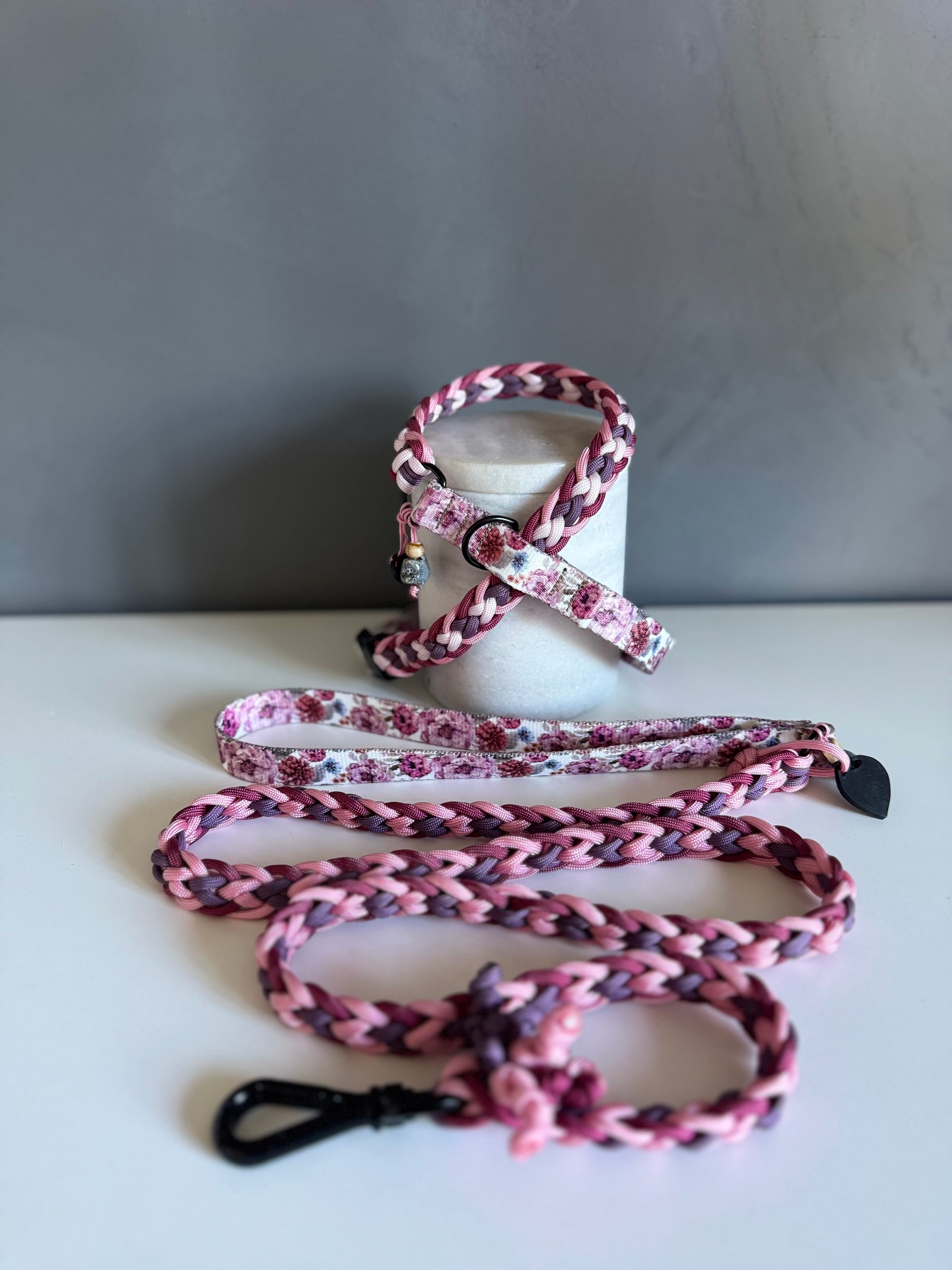 ReadyForFusion | Braided Leash | Meadow I