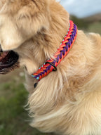 ReadyForFusion | Collar | Confetti