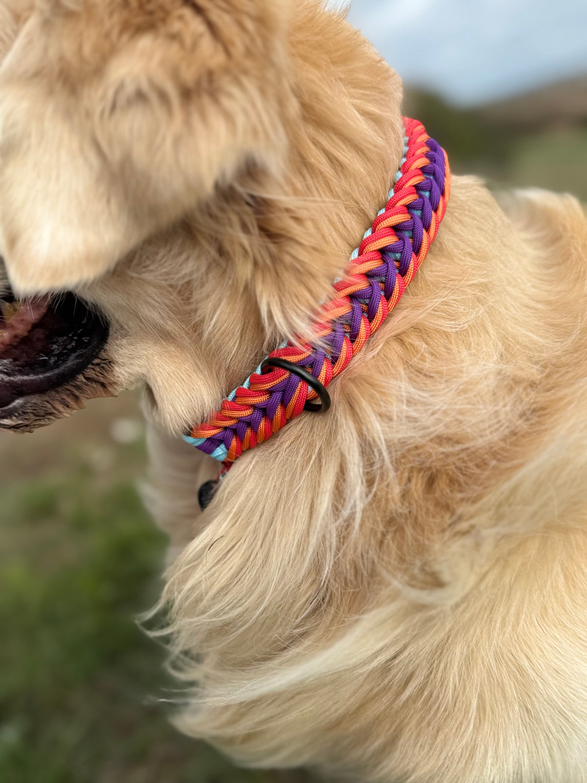 ReadyForFusion | Collar | Confetti