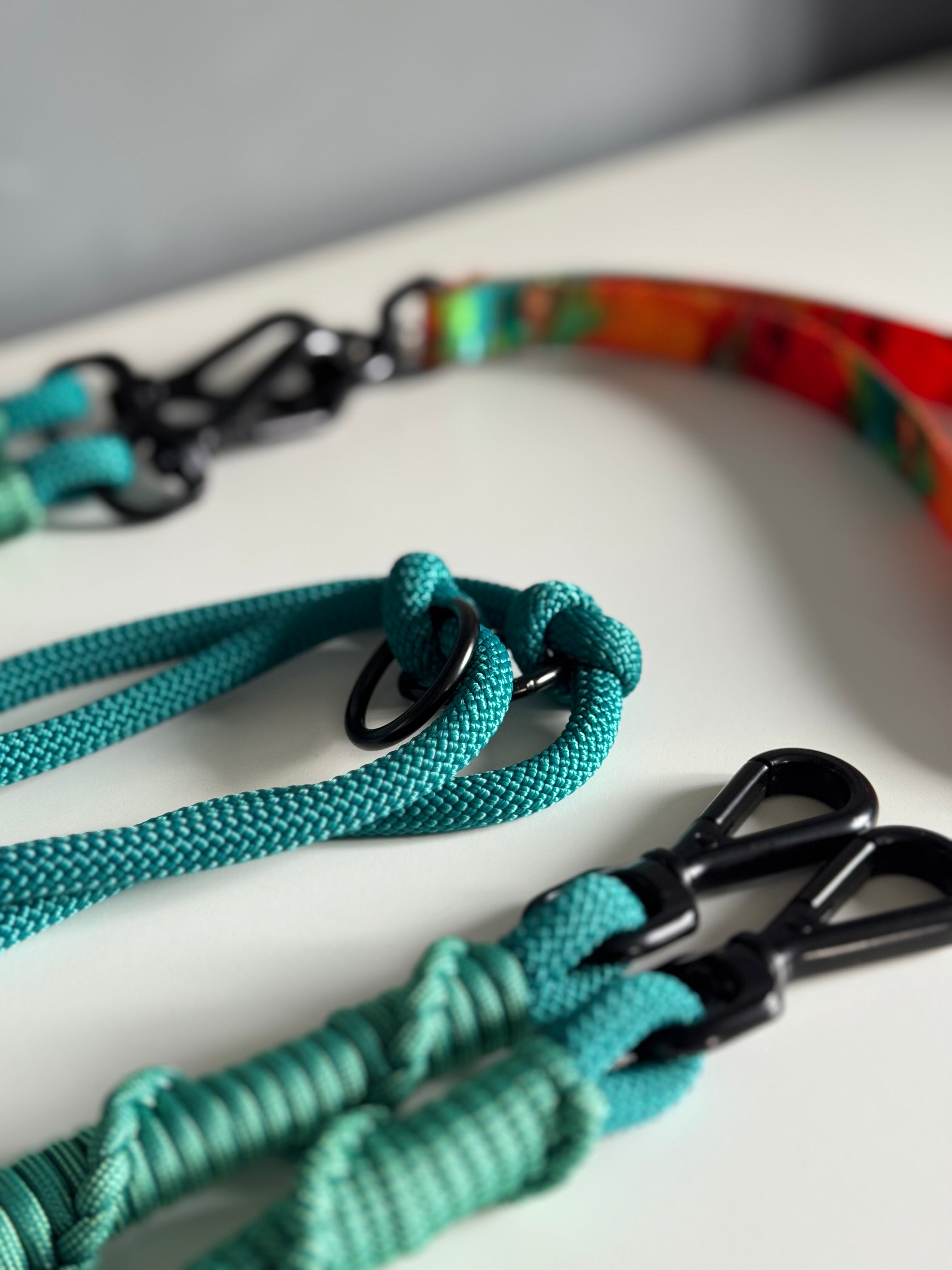 Ready42Dogs | 4in1Multifunctional Leash | Energy