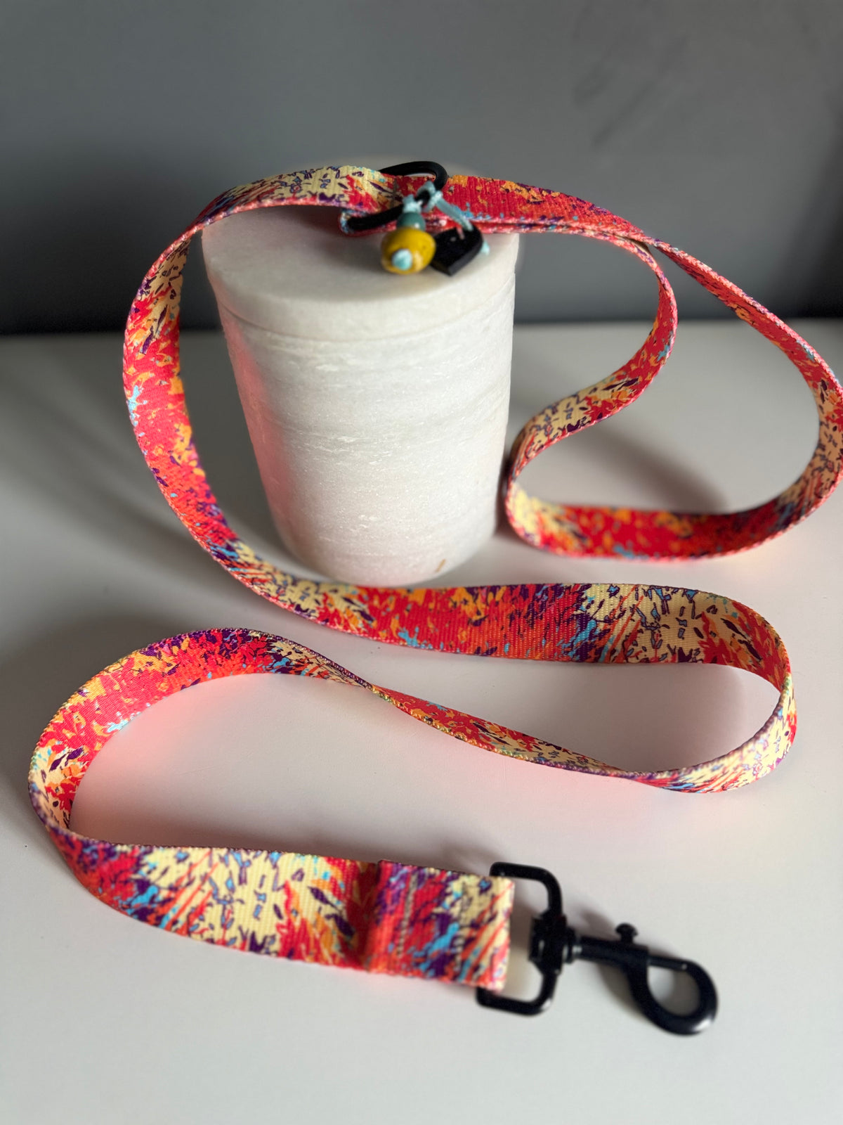 ReadyForWalk | Traditional leash | Confetti