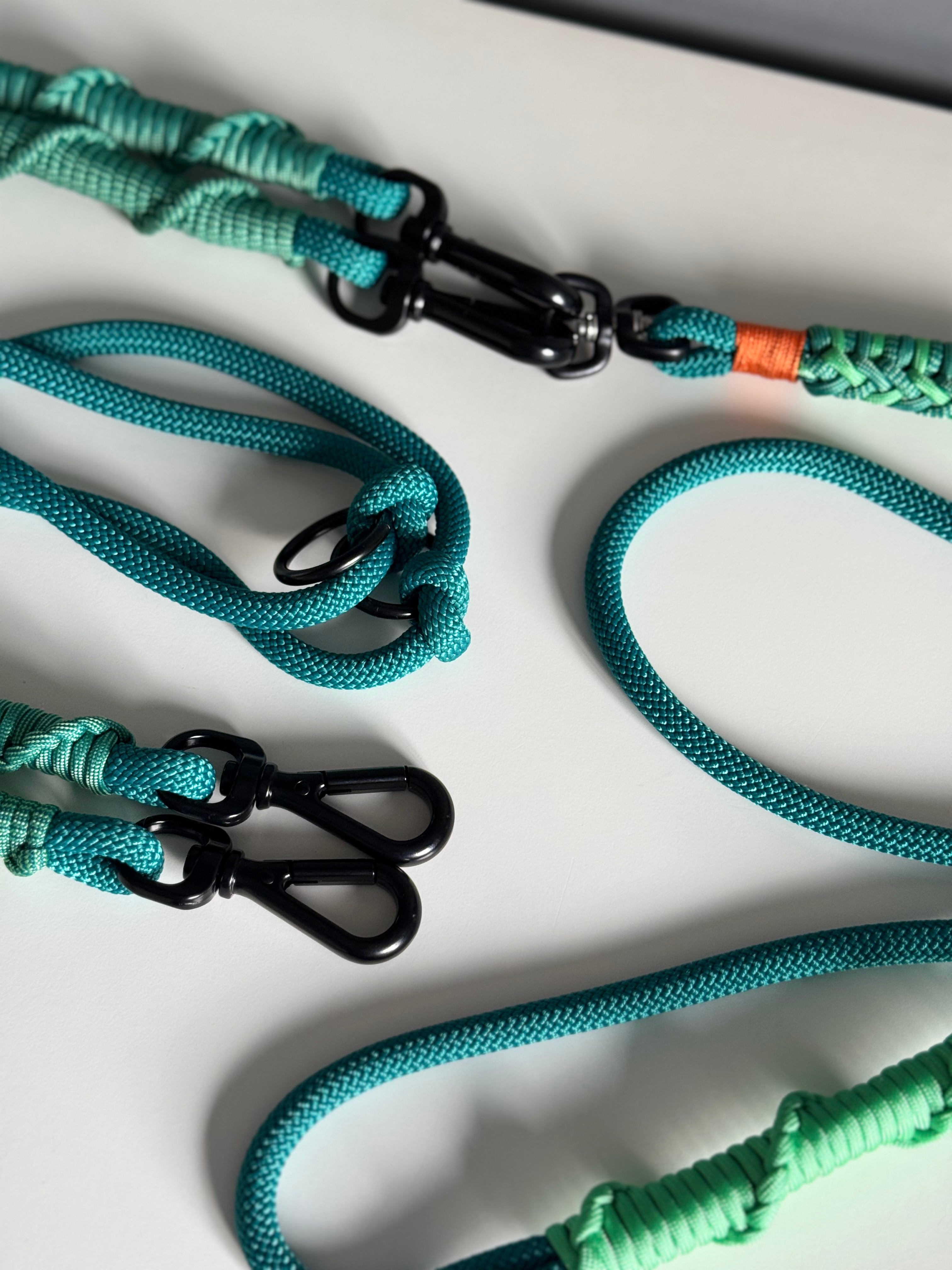 Ready42Dogs | 4in1Multifunctional Leash | Energy