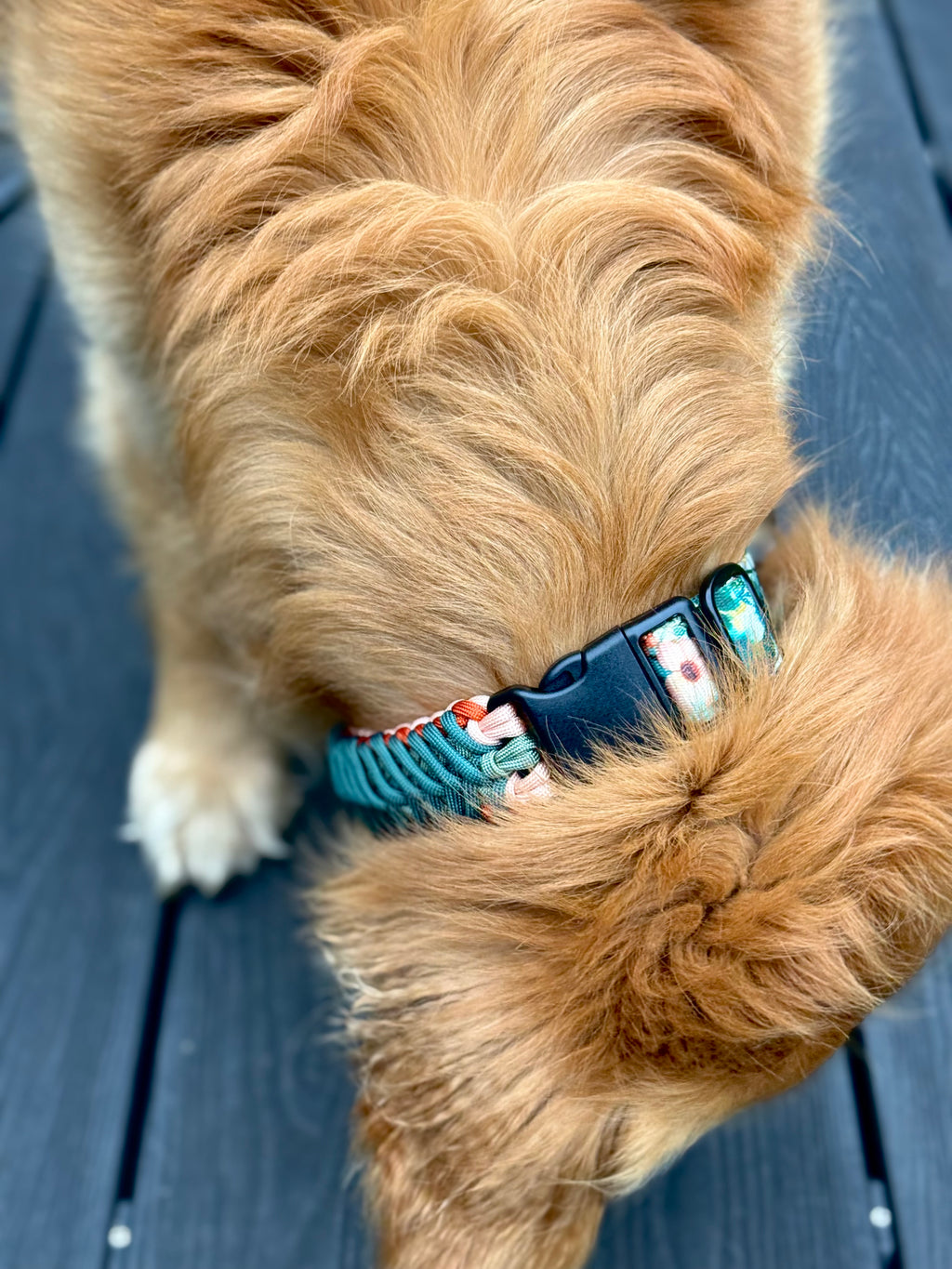 ReadyForFusion | Collar | Green Meadow I