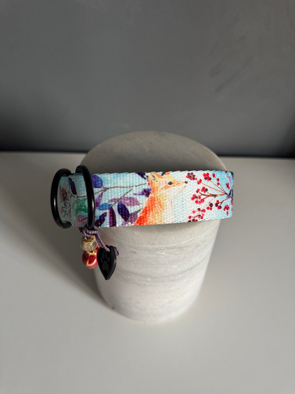 ReadyForBuckle | Collar | Little Fox