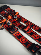 ReadyForBuckle | Collar | Pumpkin