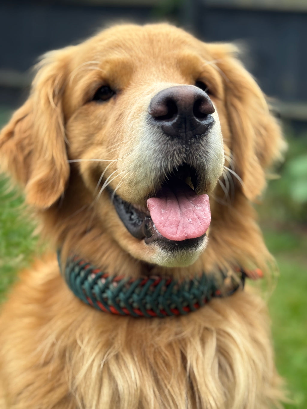 ReadyForFusion | Collar | Green Meadow I