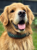 ReadyForFusion | Collar | Green Meadow I