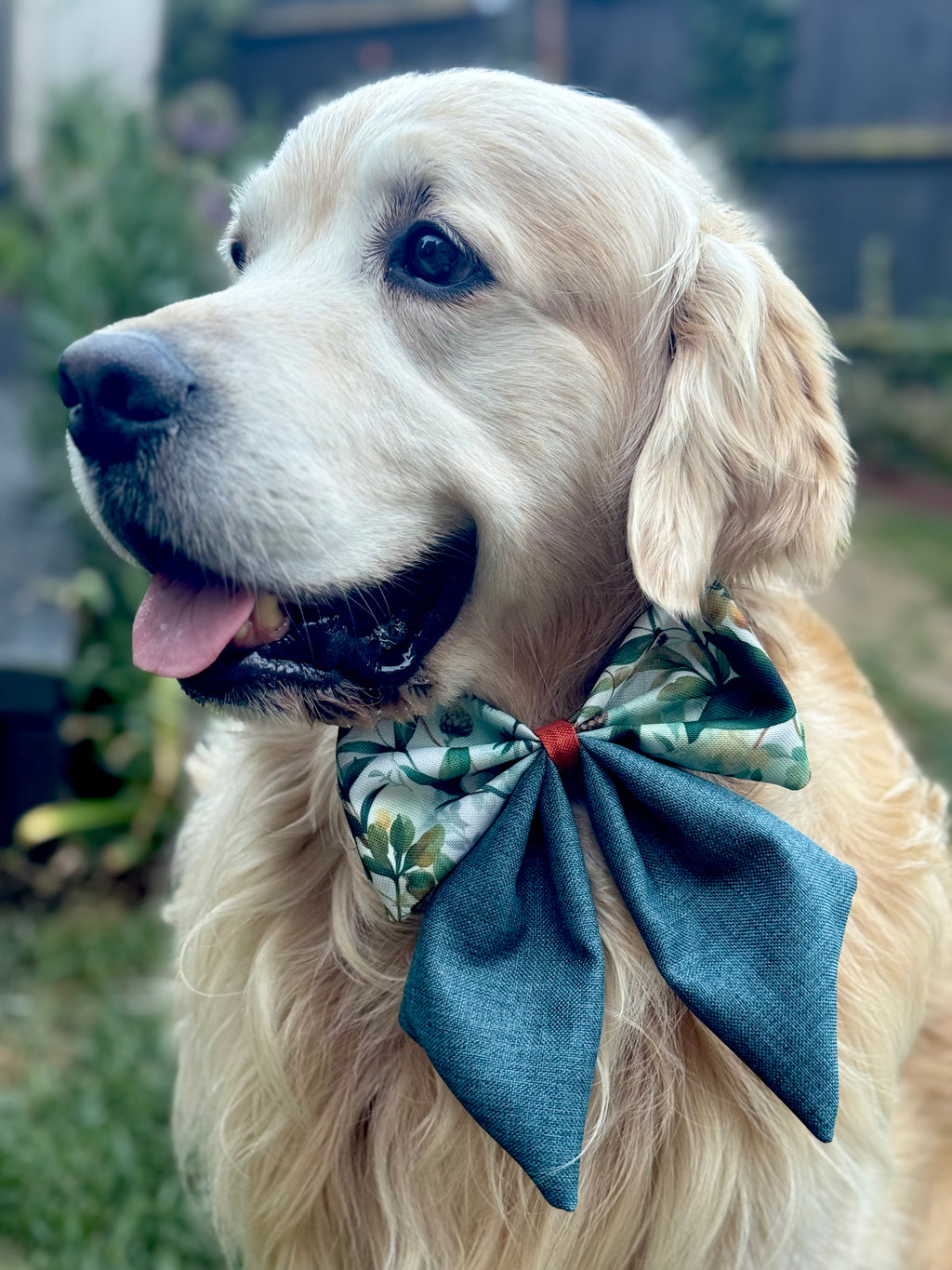 ReadyForBowTie | Sailor | Green Meadow-Navy