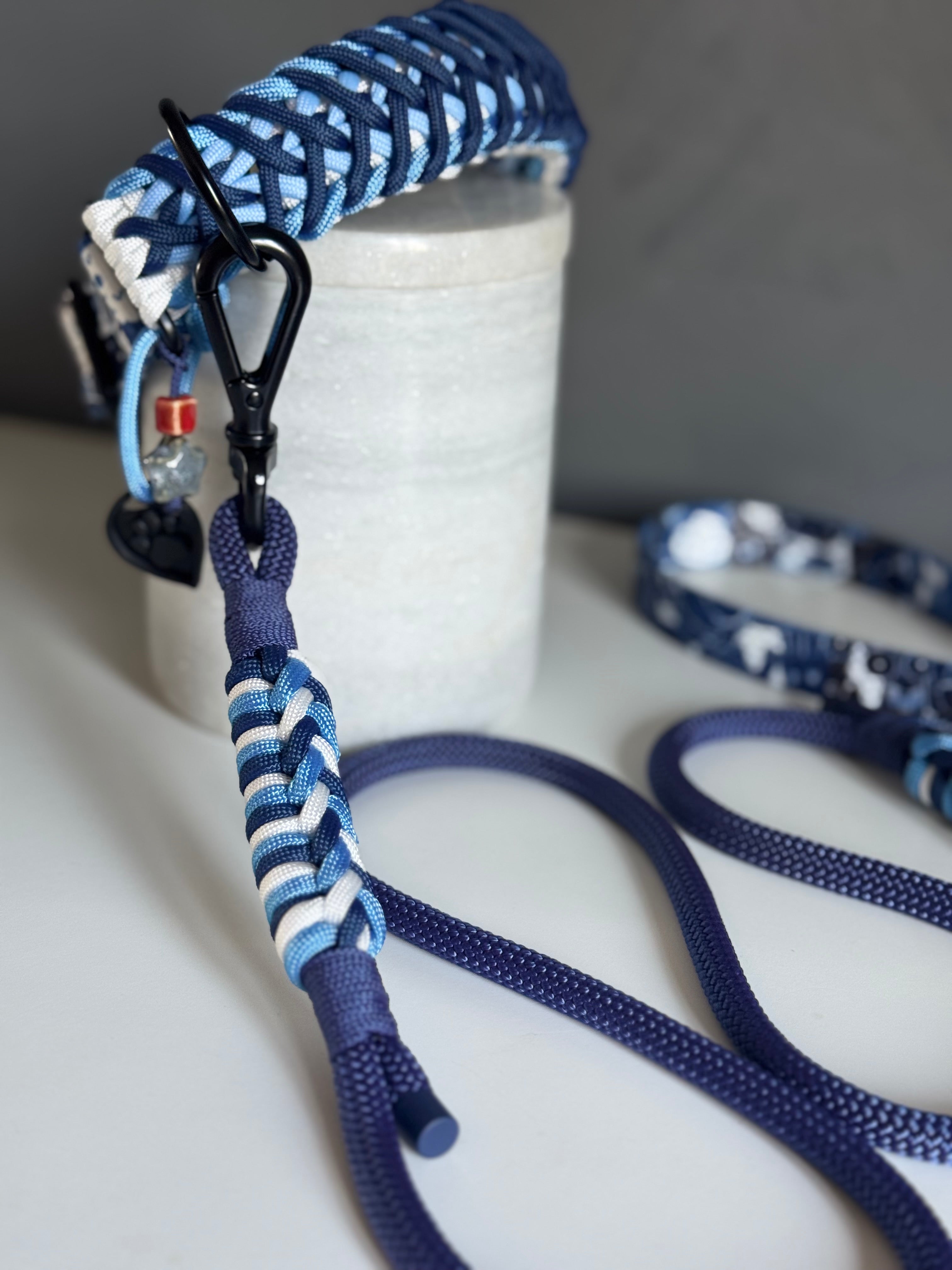 ReadyForFusion | Leash | Rope8 | Monsters I