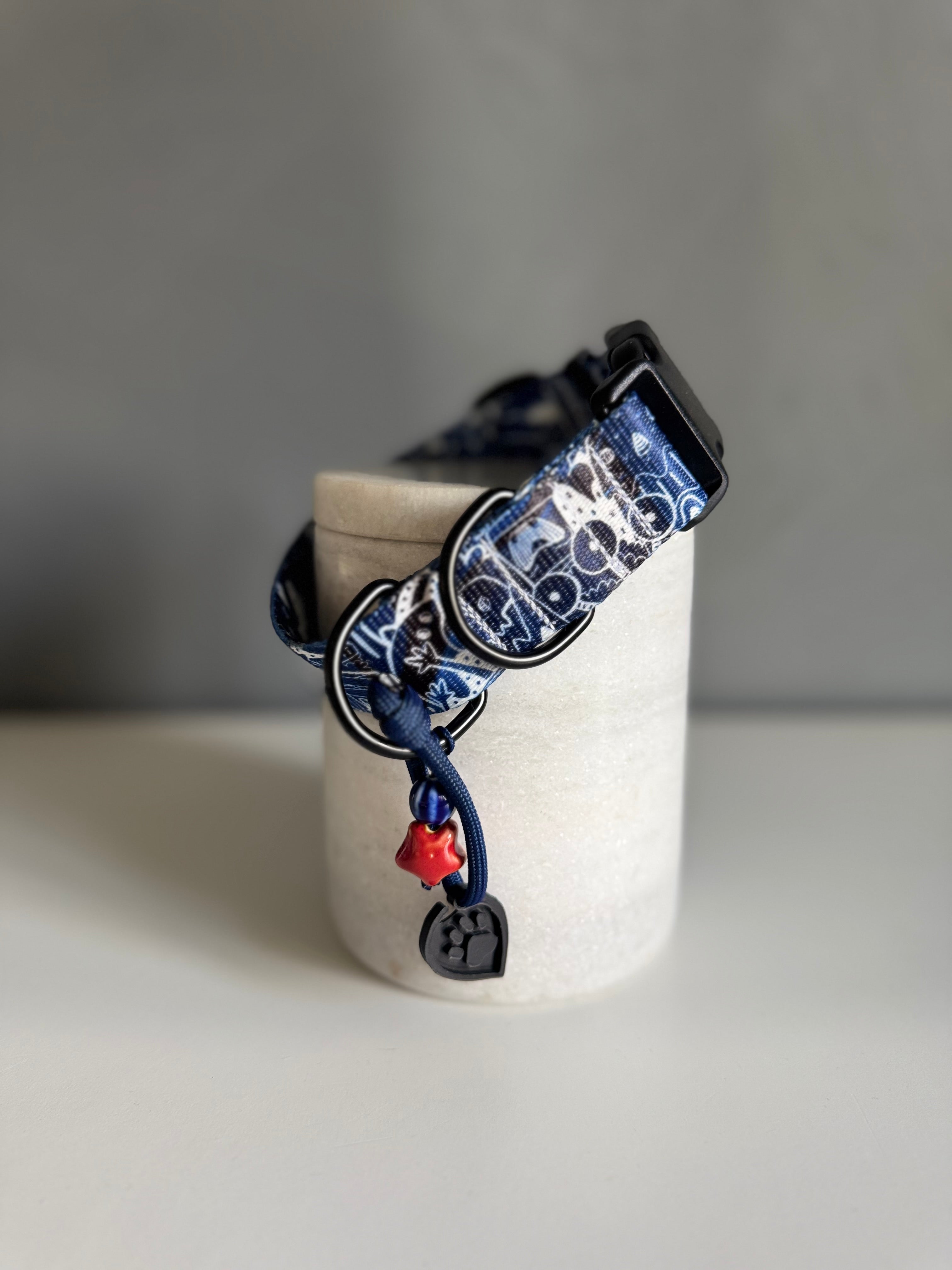 ReadyForBuckle | Collar | Monsters
