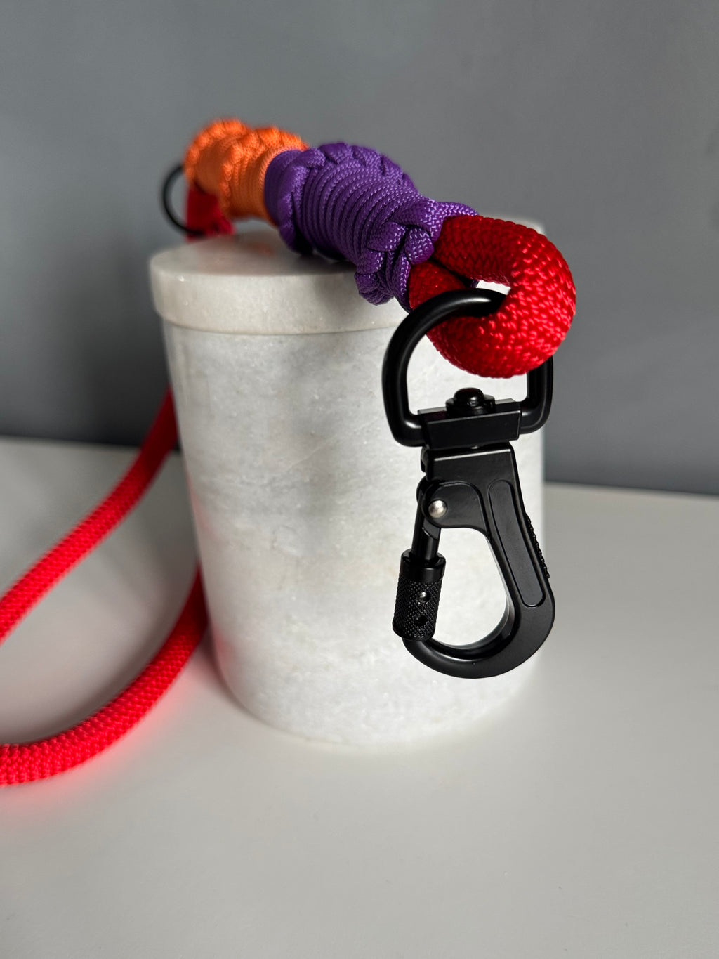ReadyForShort | Leash | Confetti
