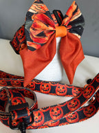 ReadyForBowTie | Sailor | Pumpkin