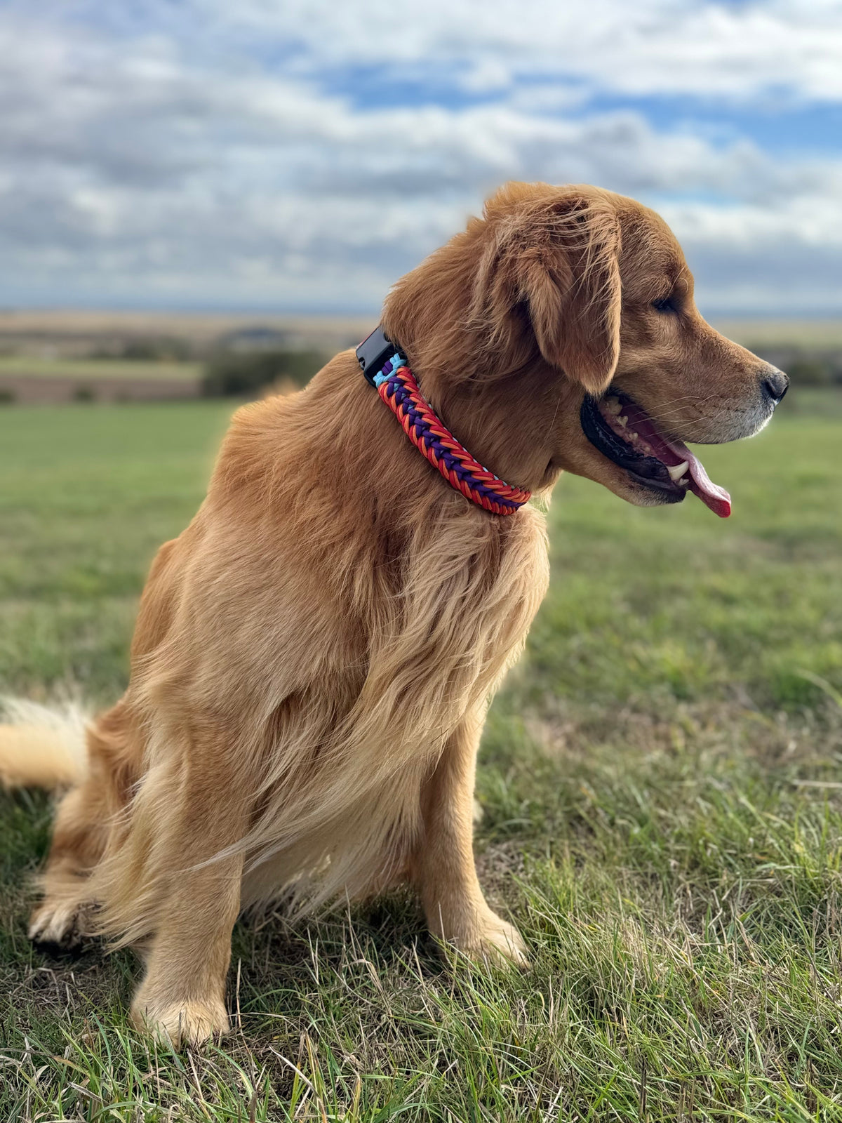 ReadyForFusion | Collar | Confetti