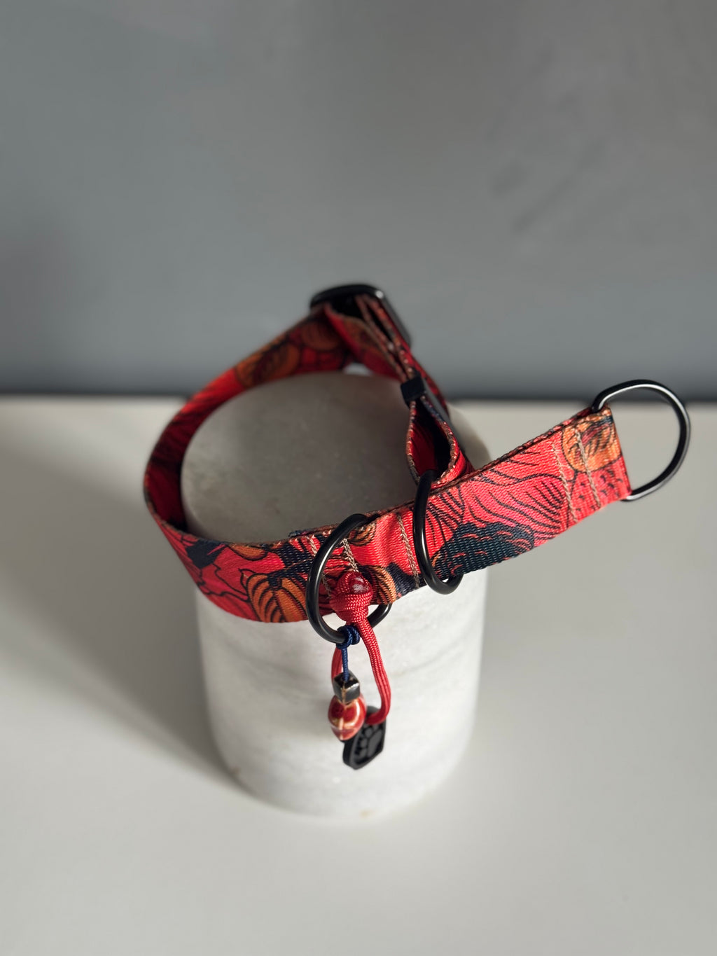 ReadyForHalf-slip | Collar | Red Fish