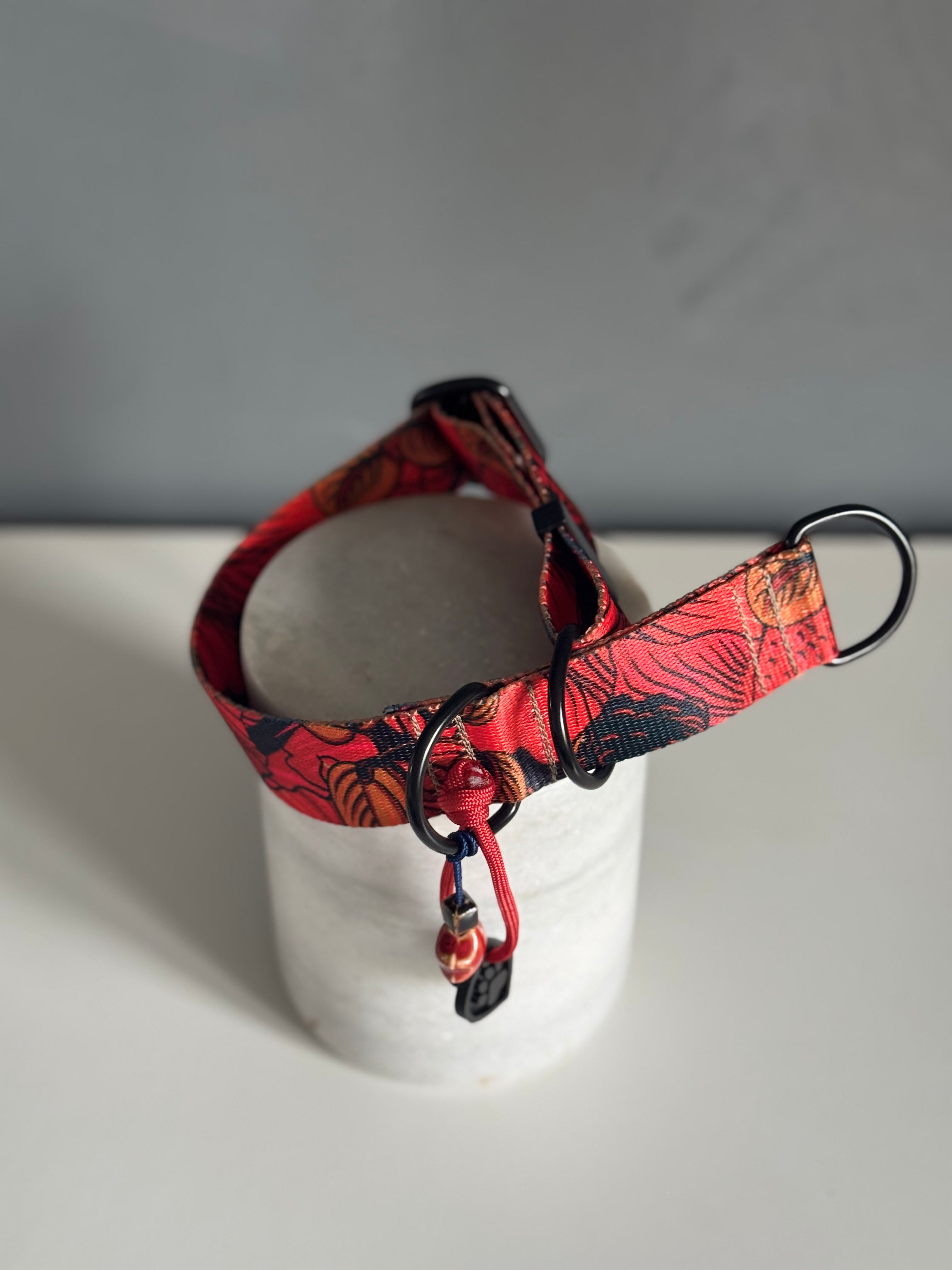 ReadyForHalf-slip | Collar | Red Fish