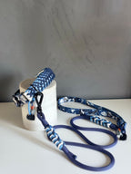 ReadyForFusion | Leash | Rope8 | Monsters I