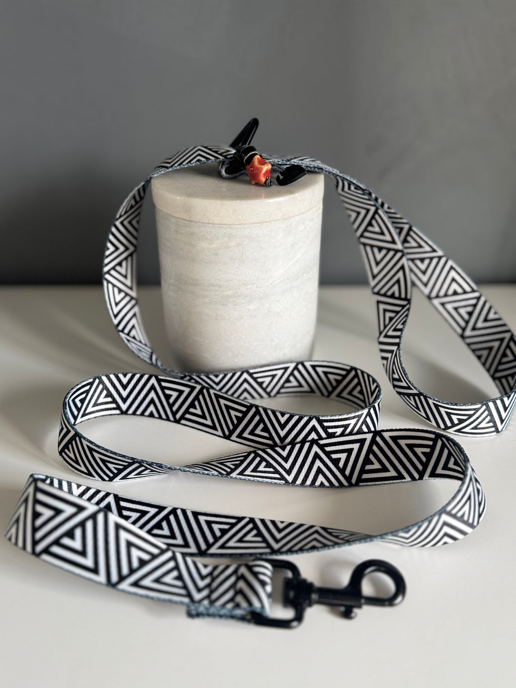 ReadyForWalk | Traditional Leash | Black&White