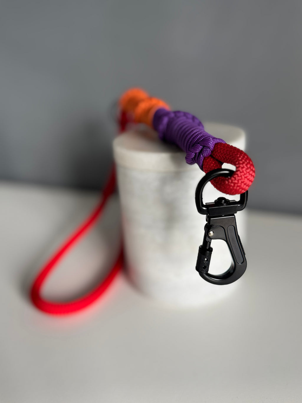 ReadyForShort | Leash | Confetti