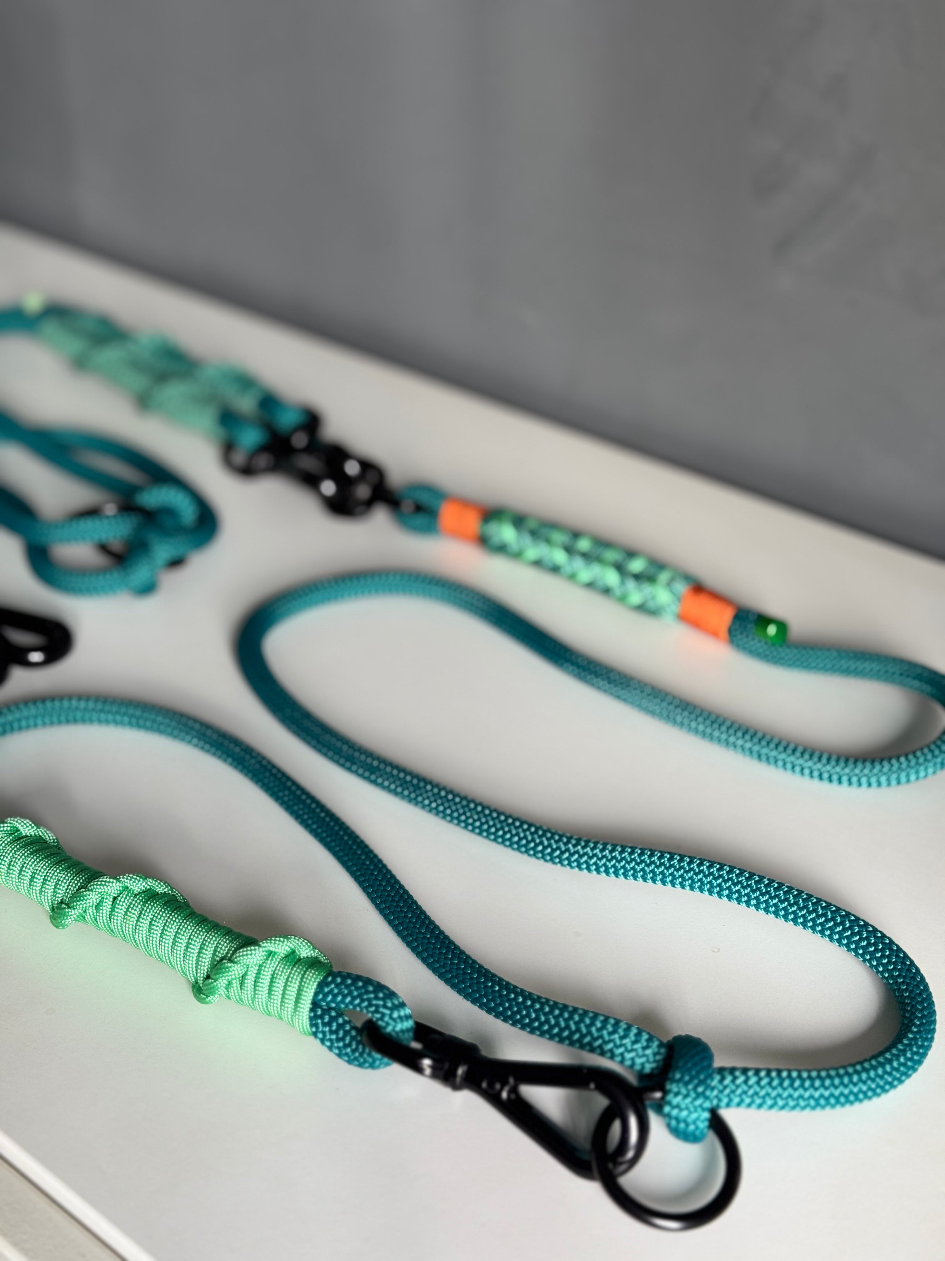 Ready42Dogs | 4in1Multifunctional Leash | Energy