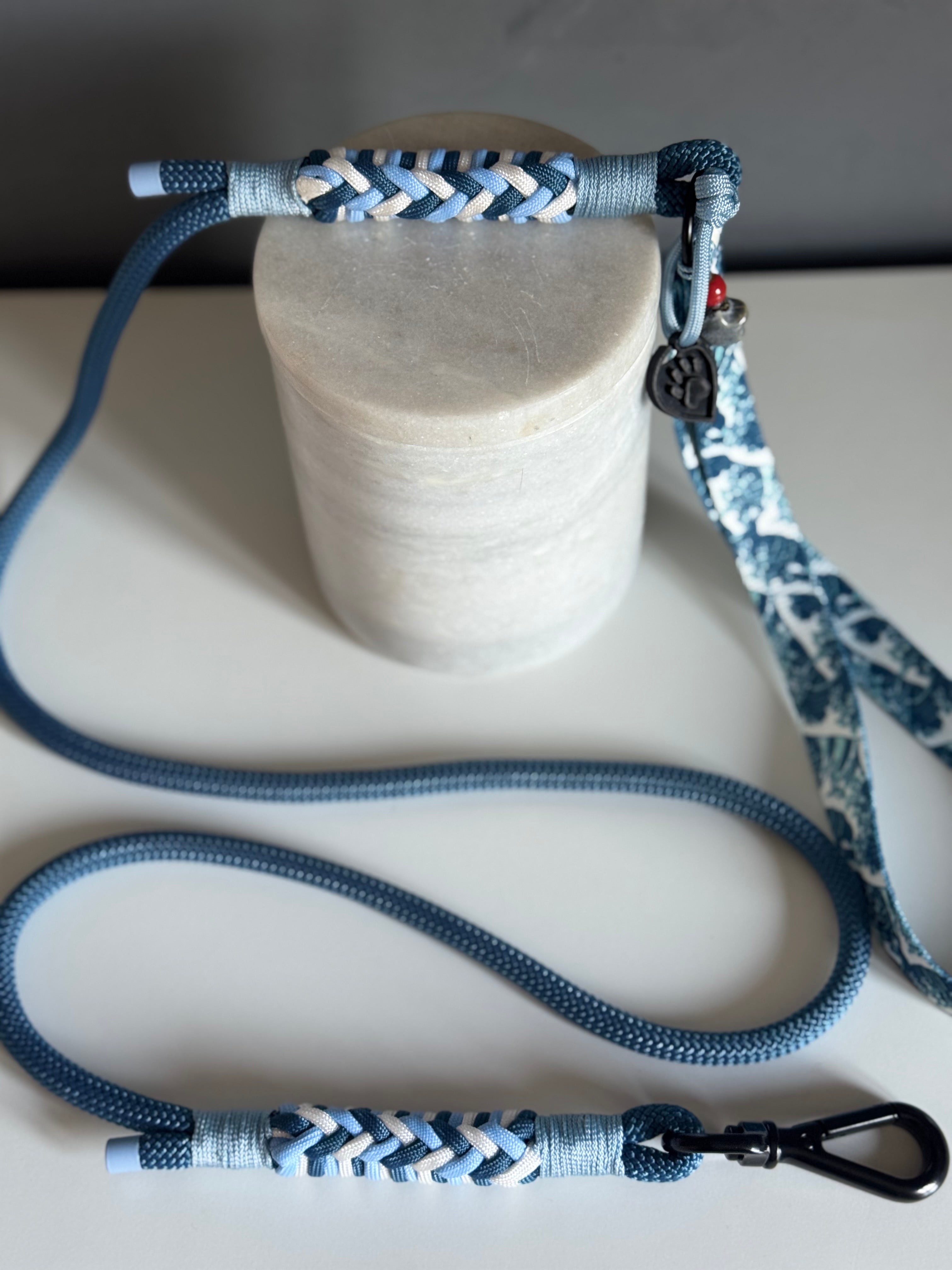 ReadyForFusion | Leash | Rope8 | Wave I