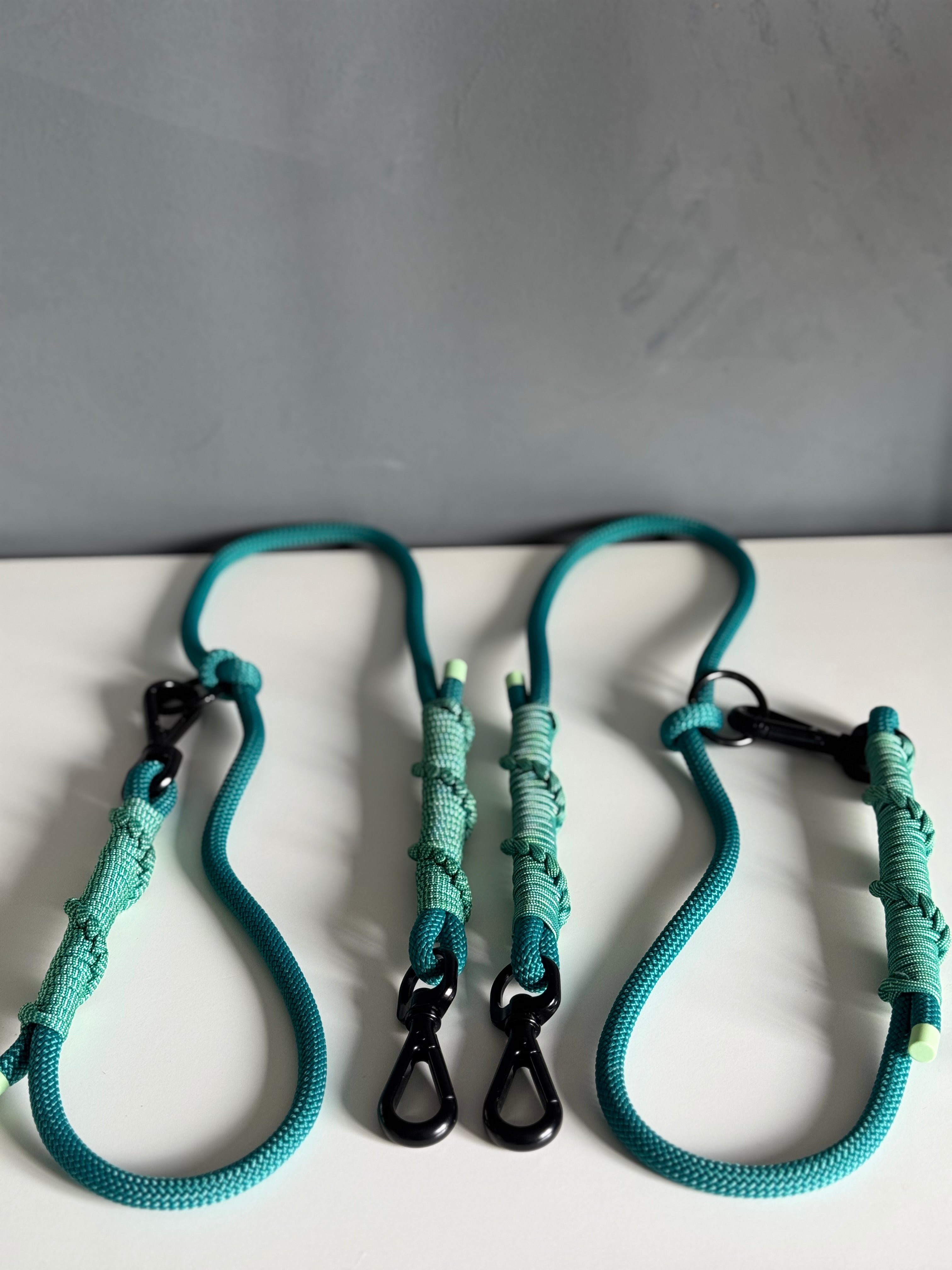 Ready42Dogs | 4in1Multifunctional Leash | Energy