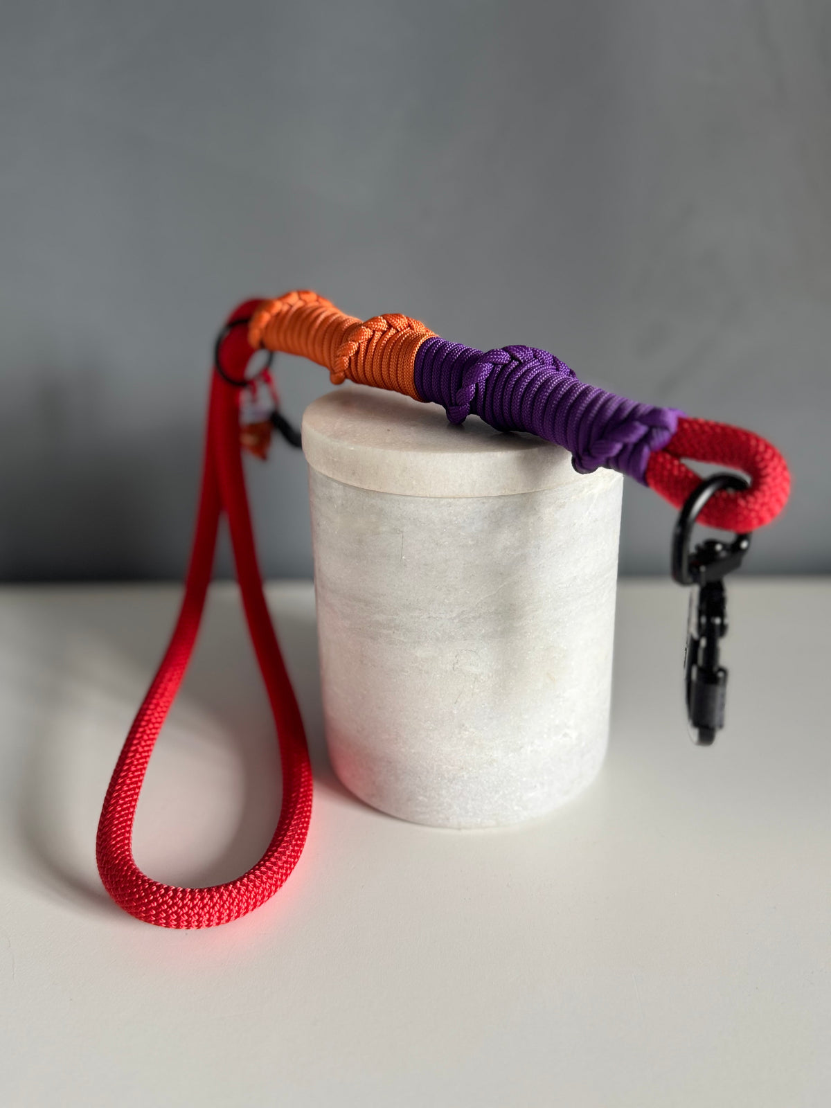 ReadyForShort | Leash | Confetti