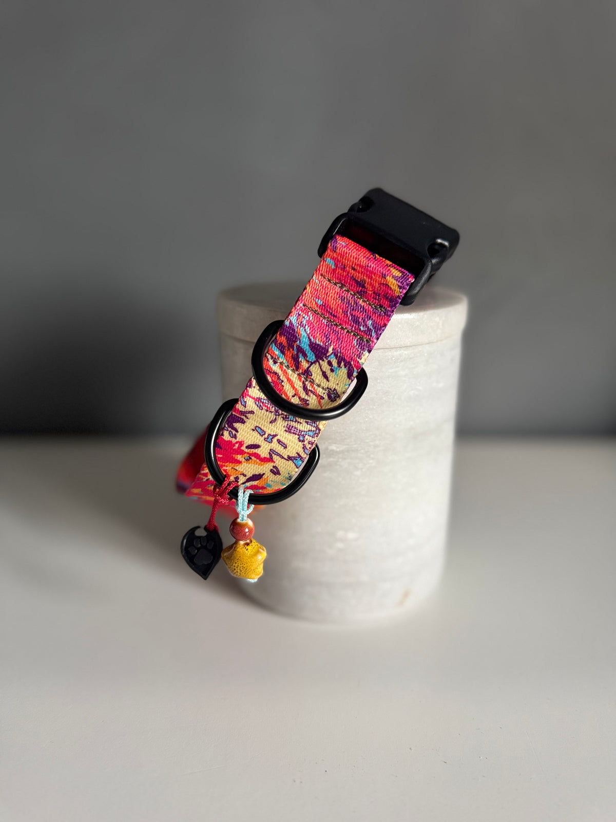 ReadyForBuckle | Collar | Confetti