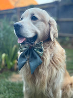 ReadyForBowTie | Sailor | Green Meadow-Navy