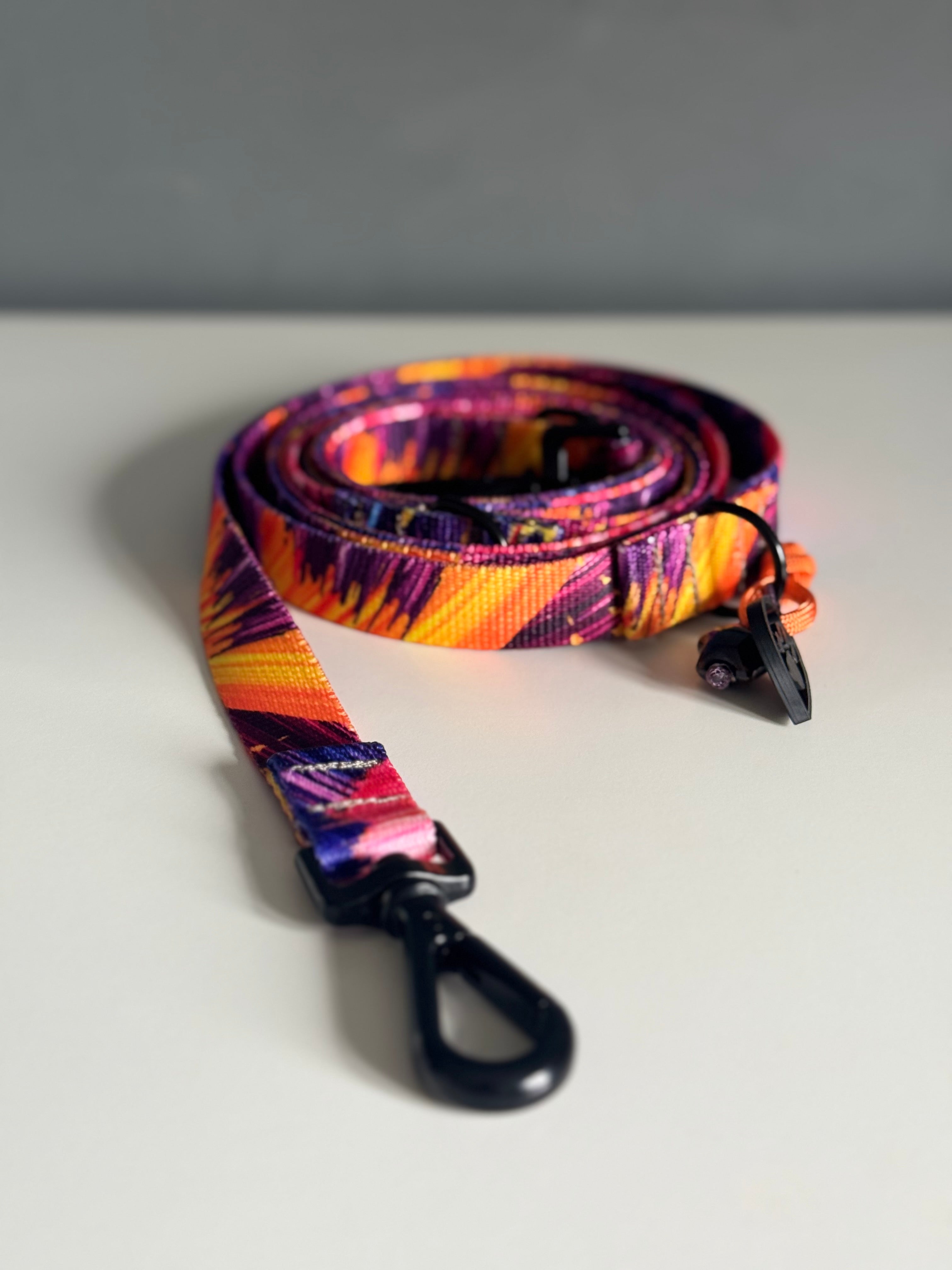 ReadyFor3 | Multifunctional Leash | Purple Paint