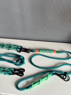 Ready42Dogs | 4in1Multifunctional Leash | Energy