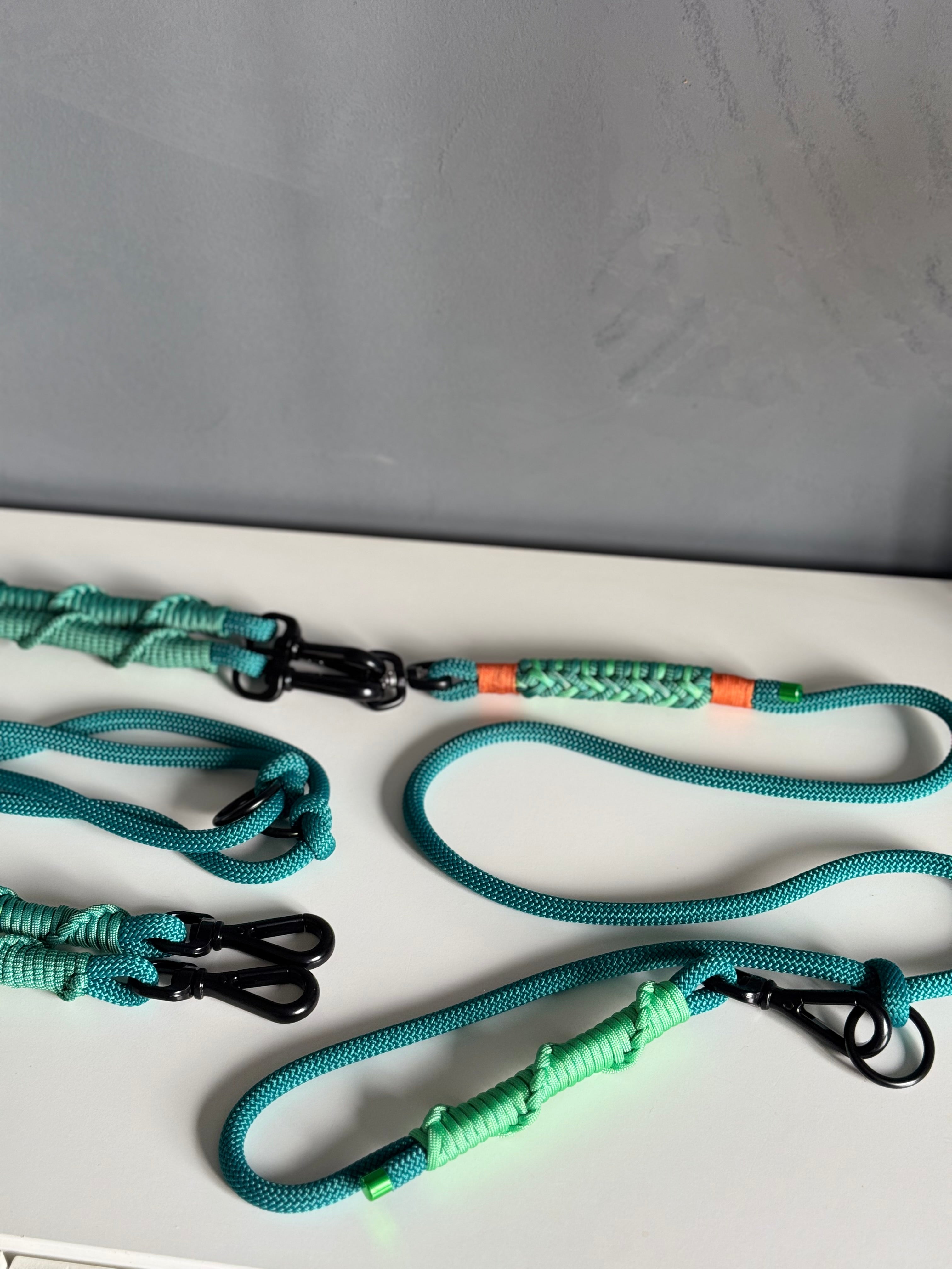Ready42Dogs | 4in1Multifunctional Leash | Energy