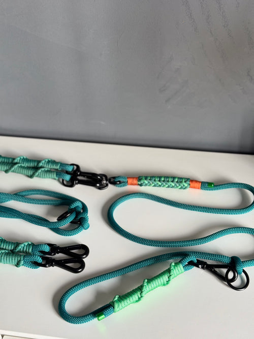 Ready42Dogs | 4in1Multifunctional Leash | Energy