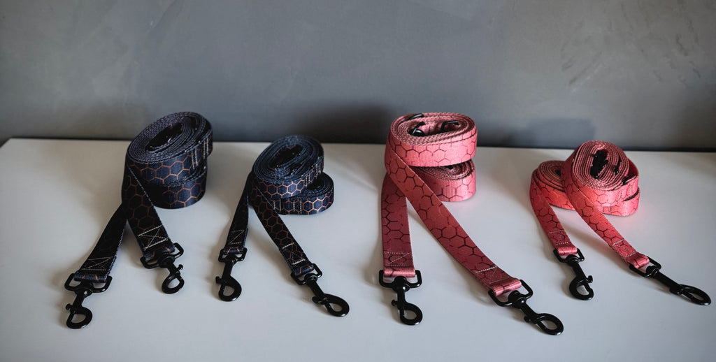 ReadyFor3 | Multifunctional Leash | Hexago Navy