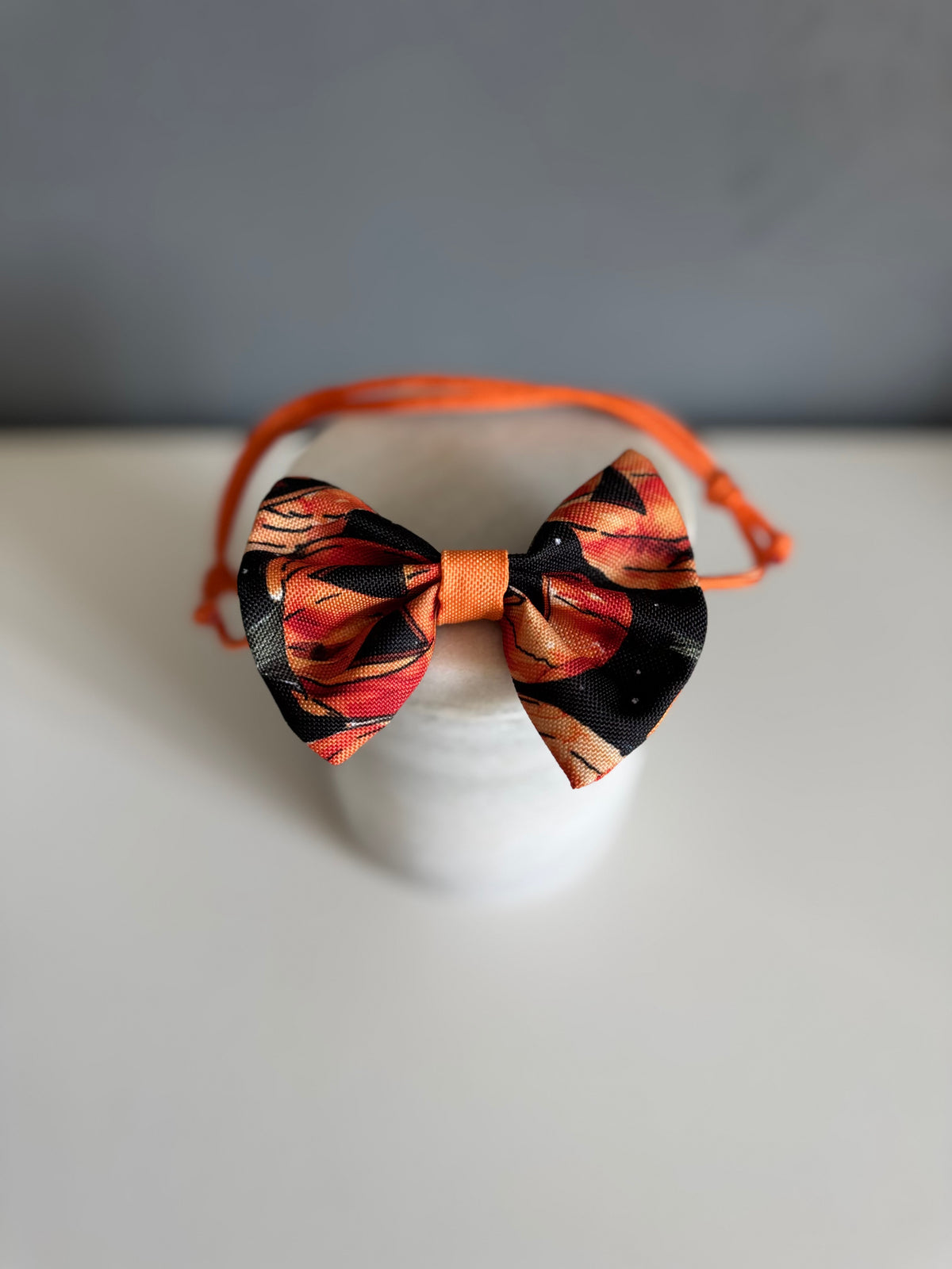 ReadyForBowTie | Pumpkin