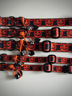 ReadyForBuckle | Collar | Pumpkin
