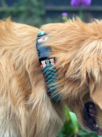 ReadyForFusion | Collar | Green Meadow I
