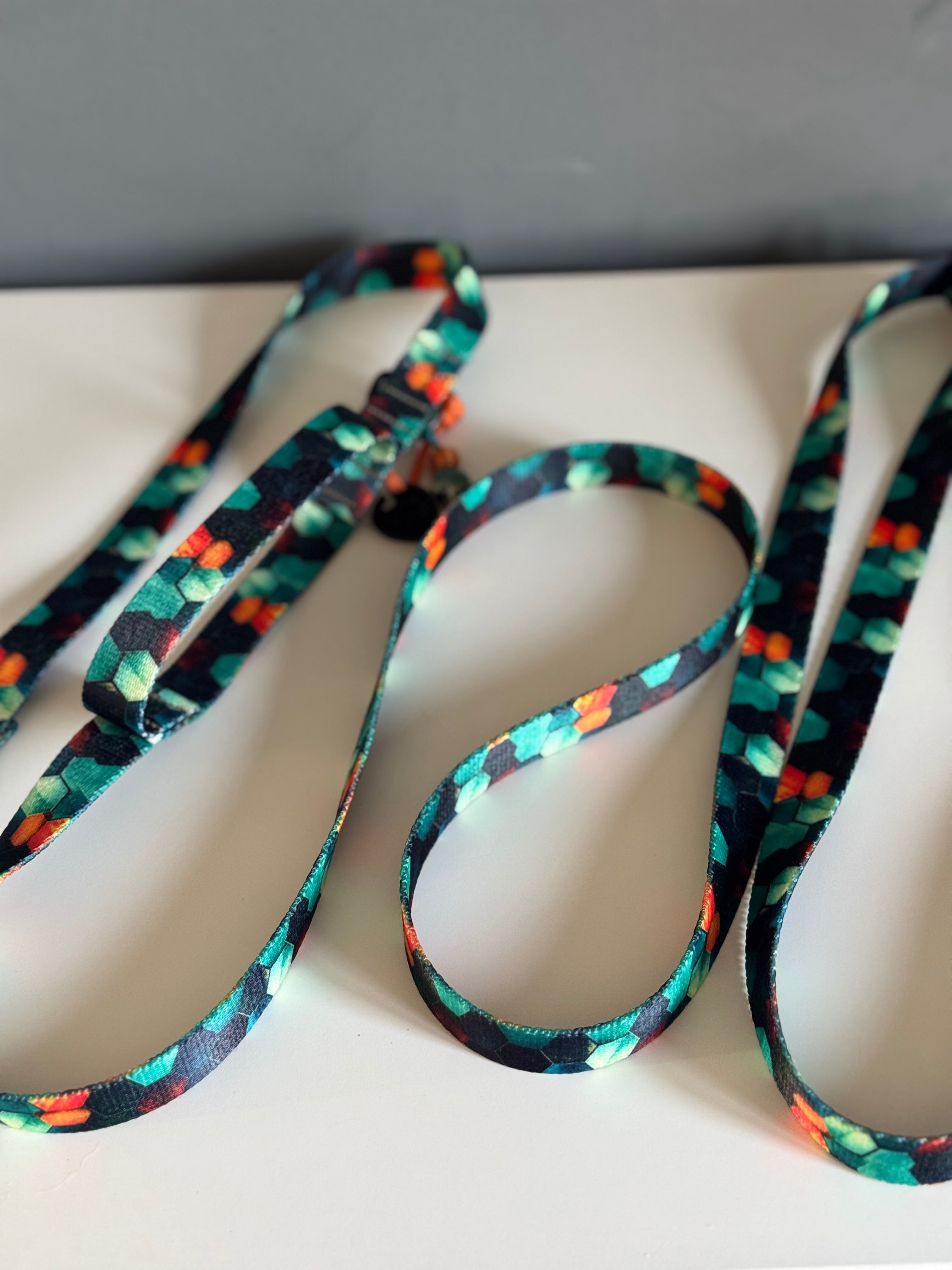 ReadyForHandsFree | Multifunctional Leash | Hexagon