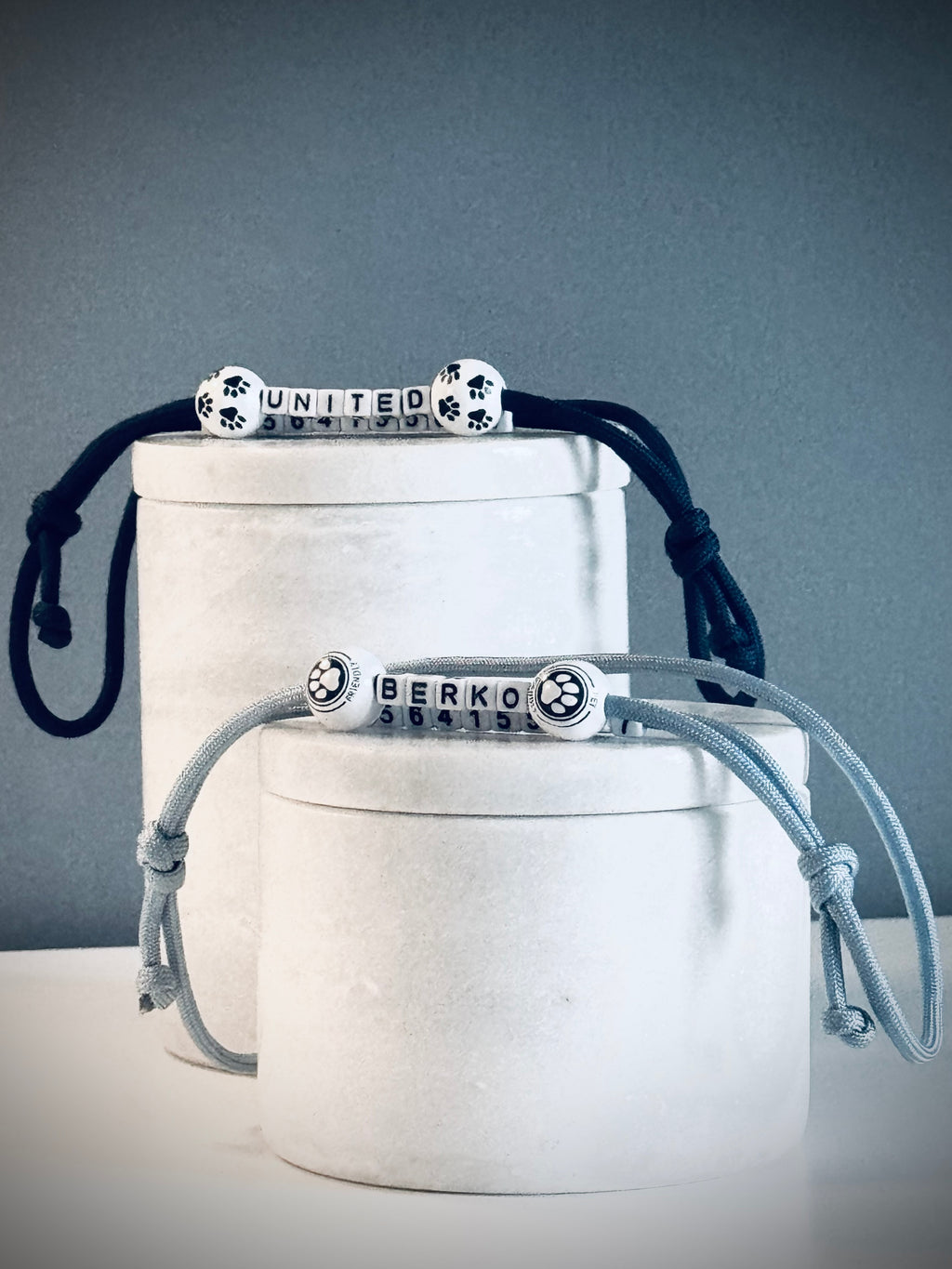 ReadyForBuckle | Collar | ID Tag