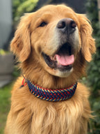 ReadyForFusion | Collar | Red Fish