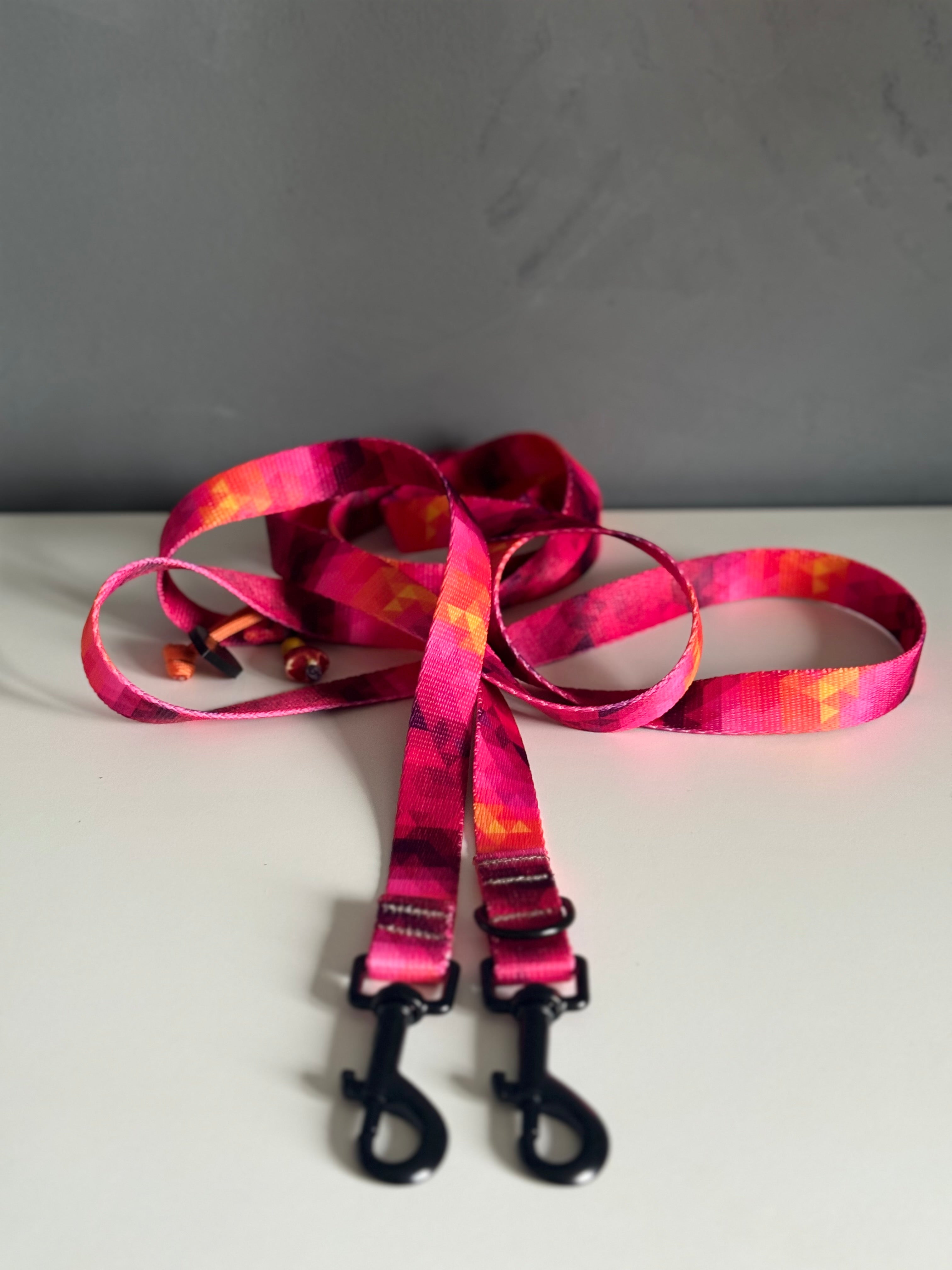 ReadyFor3 | Multifunctional Leash | Mini Triangle