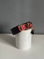 ReadyForBuckle | Collar | Pumpkin