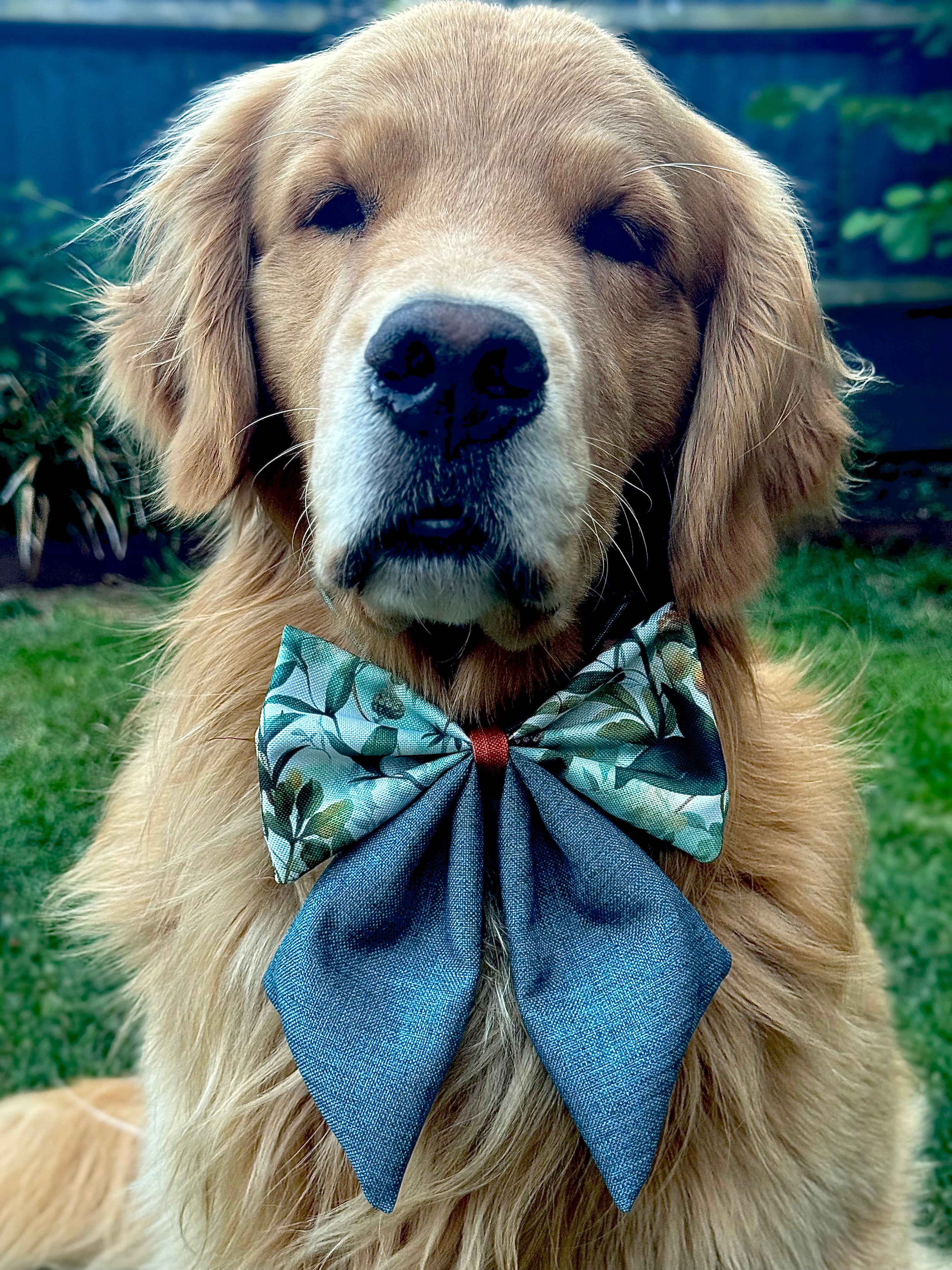 ReadyForBowTie | Sailor | Green Meadow-Navy