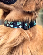 ReadyForBuckle | Collar | Eucalyptus