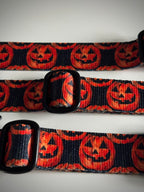ReadyForBuckle | Collar | Pumpkin