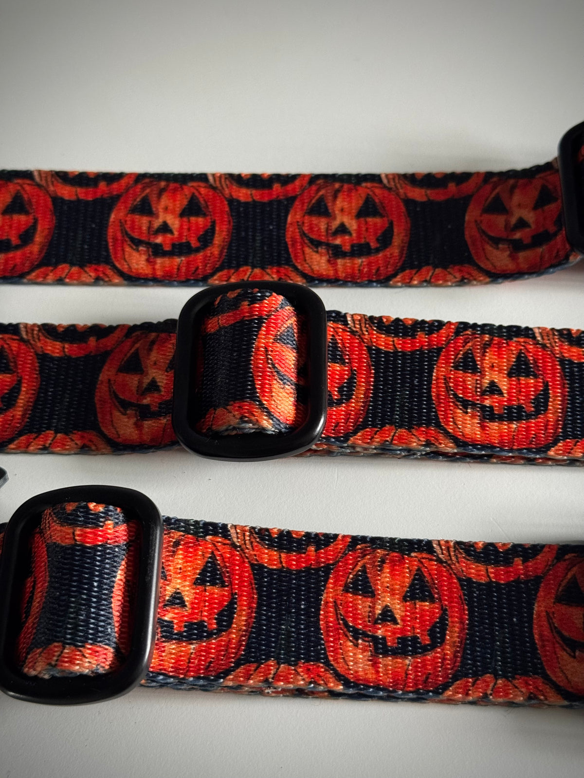 ReadyForBuckle | Collar | Pumpkin
